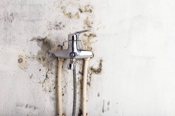 Best Health and Safety Mold Remediation in Minnetonka, MN
