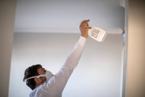 Best Bathroom Mold Remediation in Minnetonka, MN